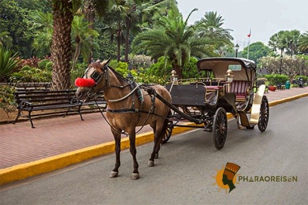 Luxor Stadtrundfahrt mit Pferdekutsche