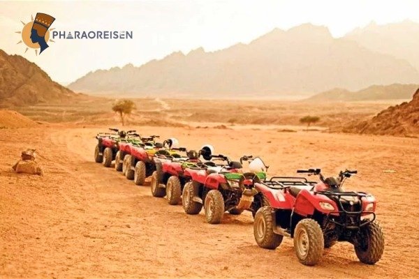 Quad Tour Safari Hurghada