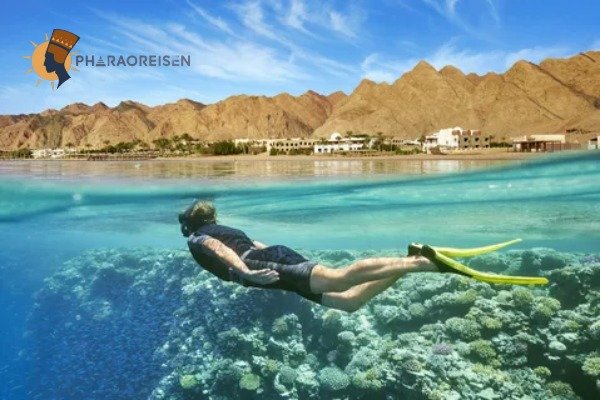 Tauchen Tagestour in Sharm El Sheikh