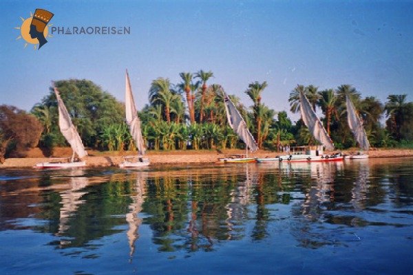 Tour zur Bananeninsel in Luxor