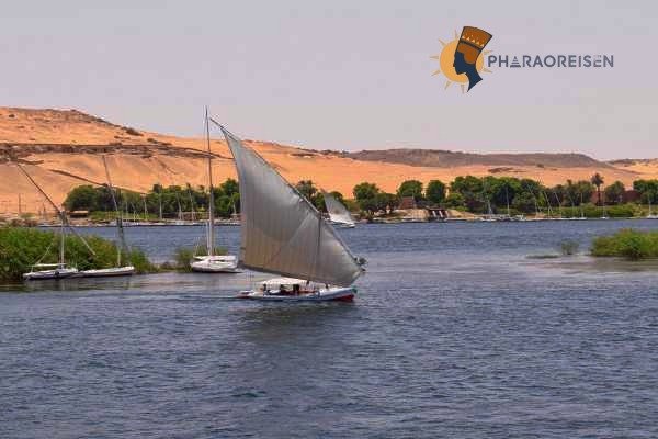 Tagesausflug nach Luxor ab Assuan