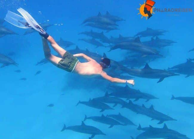ausfluge Marsa Alam
